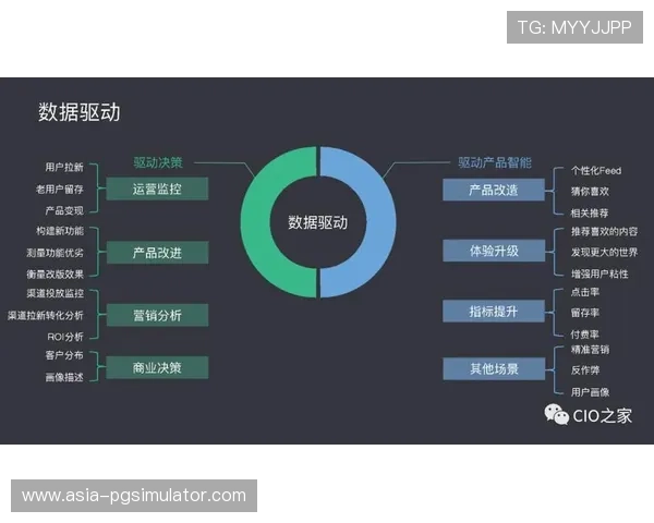 竞技场上的智慧解码:基于数据驱动的体育技术精细化分析 竞技场上的智慧解码:基于数据驱动的体育技术精细化分析